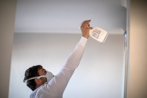 Best Mold Removal and Inspection  in South Haven, MI