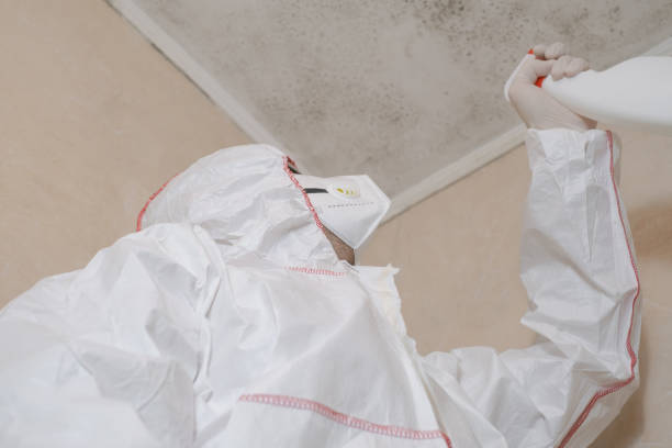 Best Mold Testing  in South Haven, MI
